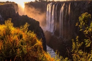 Guided Tour of the Falls ZIM side Wildlife Safari by Savanna