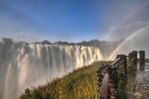 Guided Tour of the Falls ZIM side Wildlife Safari by Savanna