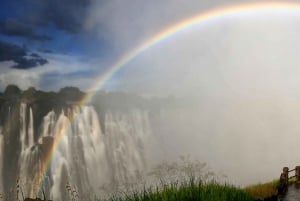 Guided Tour of the Falls ZIM side Wildlife Safari by Savanna