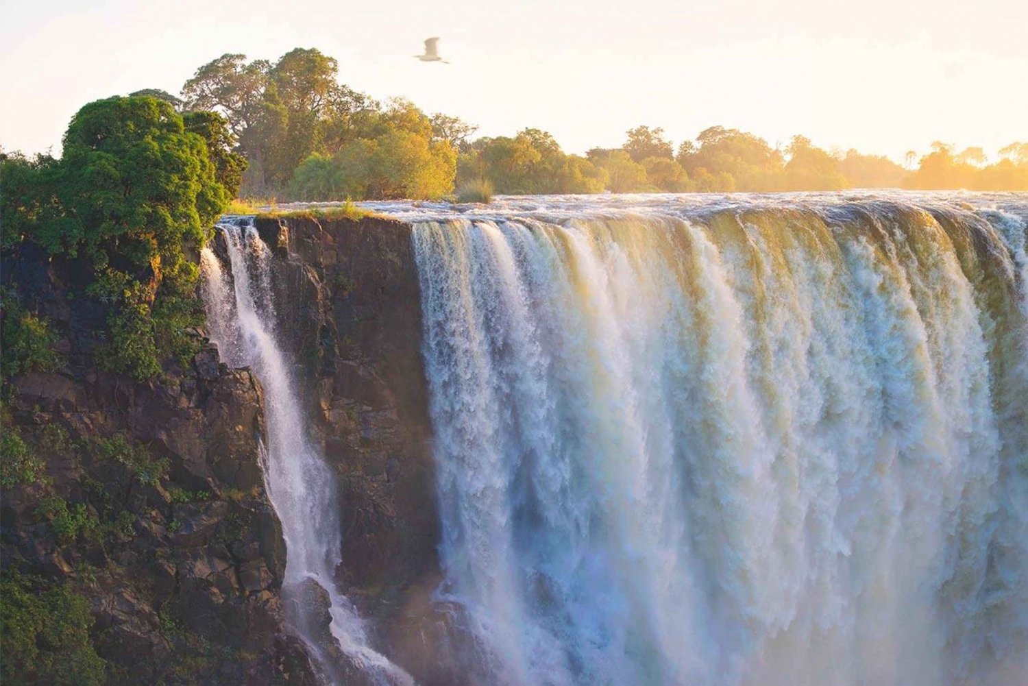 Guided Tour of The Falls