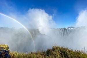 Opastettu kierros putouksille