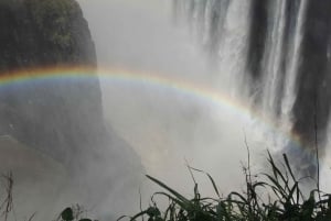 GUIDED TOUR OF THE VICTORIA FALLS ON THE ZAMBIAN SIDE