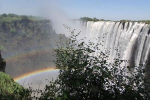 TOUR GUIADO PELAS CATARATAS DE VICTORIA NO LADO ZAMBIANO