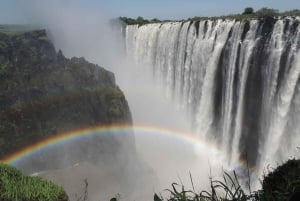 TOUR GUIADO PELAS CATARATAS DE VICTORIA NO LADO ZAMBIANO