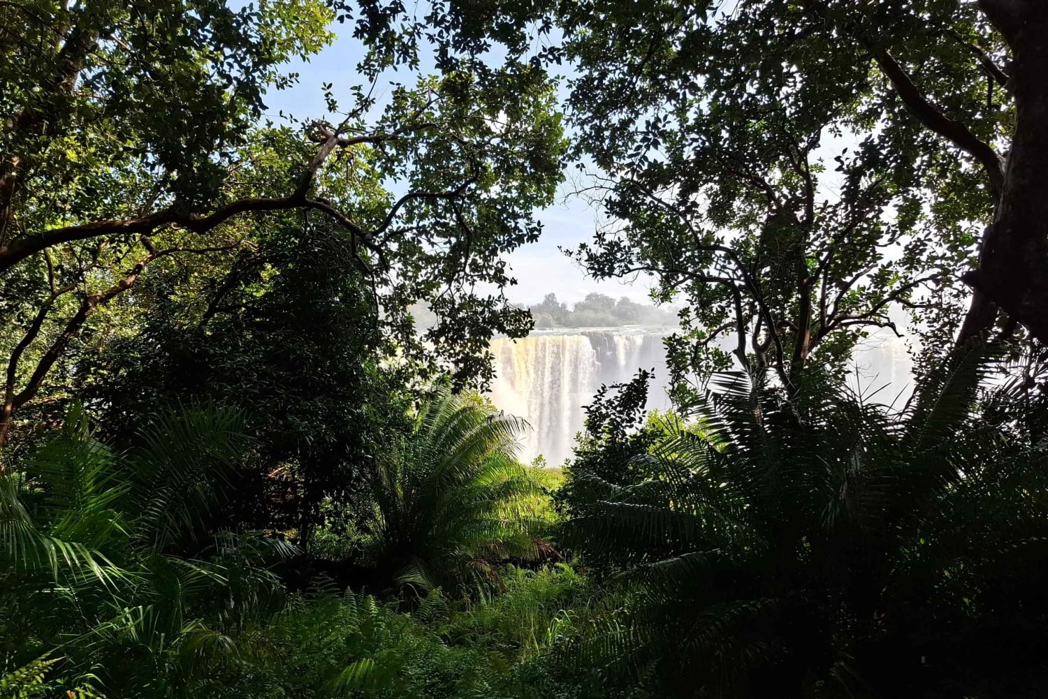 Guidet tur til Victoriafallene og safari i Chobe Park