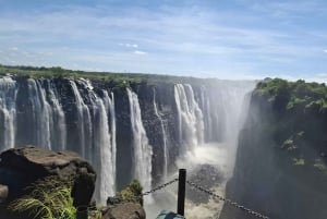 Guided tour of Victoria Falls and safari in Chobe Park
