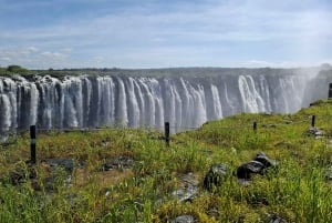 Guided tour of Victoria Falls and safari in Chobe Park