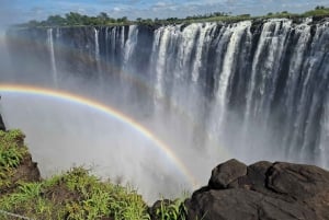 Guided tour of Victoria Falls and safari in Chobe Park