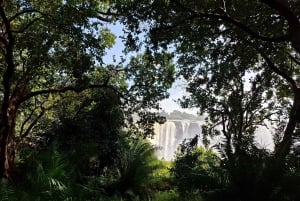 Guided tour of Victoria Falls and safari in Chobe Park