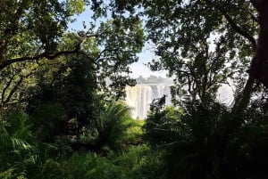 Guidet tur til Victoriafallene og safari i Chobe Park