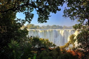 Guided Walking Tour to Victoria Falls