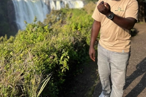 Visita guiada a pie a las cataratas Victoria