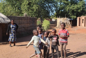 Halvdags dagsudflugt til Livingstone fra Victoria Falls