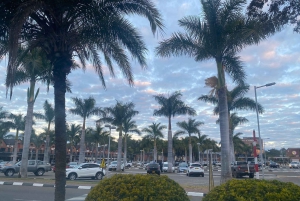 Harare: Art Galleries and Wine Tasting Tour