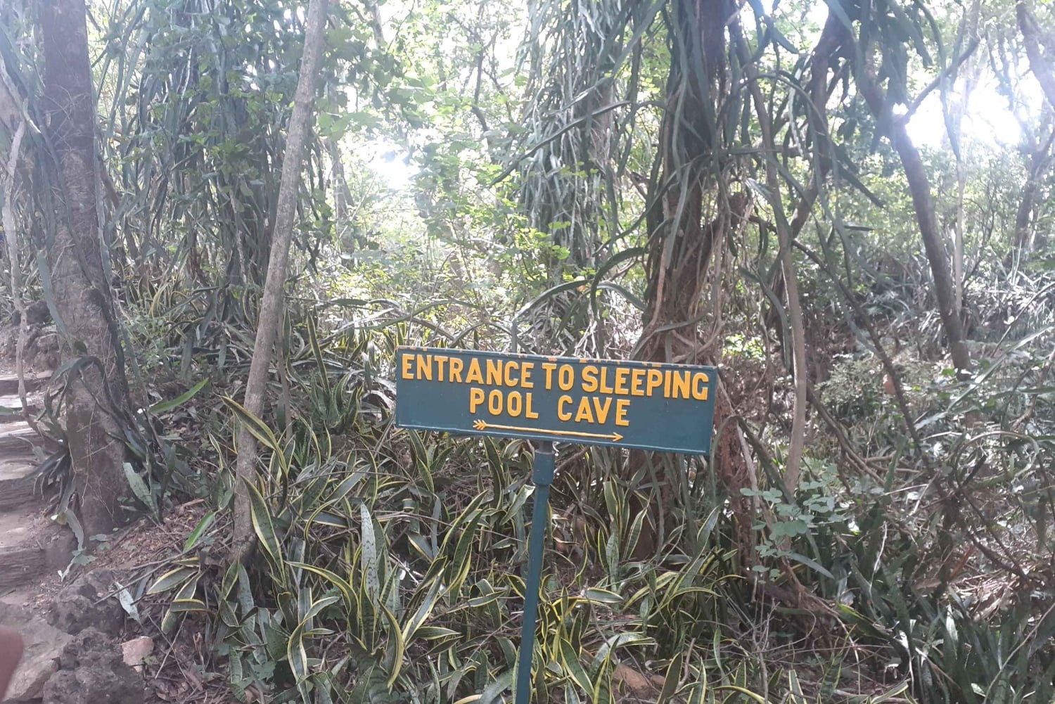 Harare: Dagstur til Chinhoyi-grottene – med forfriskning