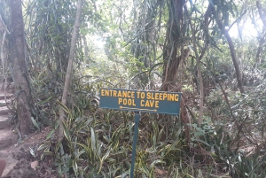 Harare: Dagstur til Chinhoyi-grottene – med forfriskning