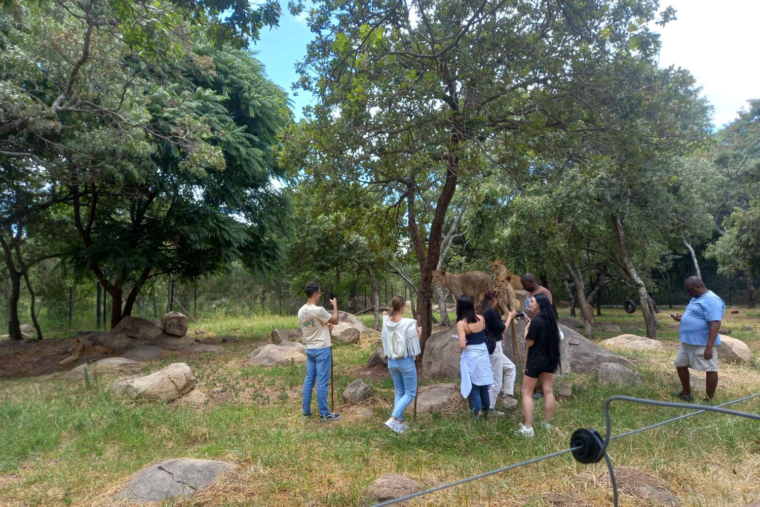 Harare: Halvdags utomhusäventyr