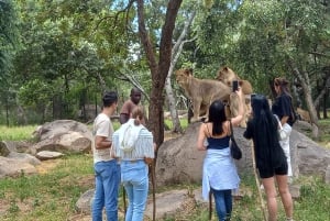 Harare: Halvdags utomhusäventyr