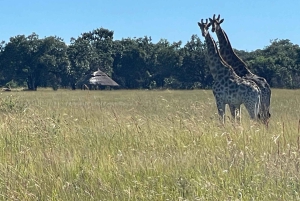 Harare: Halvdags utomhusäventyr