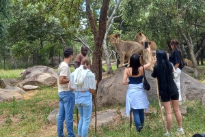 Harare: Layover Tours , Safaris &Vacation