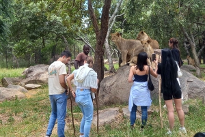 Harare: Layover Tours , Safaris &Vacation
