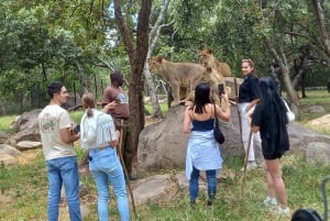 Harare: Half Day Outdoor Adventure
