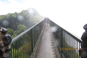 Vol en hélicoptère et visite guidée des chutes avec prise en charge à l'hôtel