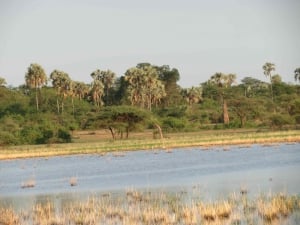 Humani - Turgwe River Lodge and Campsites