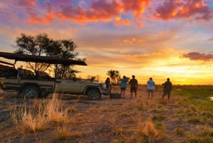 Au départ de Victoria Falls : Safari d'une journée et d'une nuit à Hwange