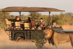 Game Drive Safari Victoria Falls