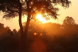 ワンゲ国立公園プライベート野生動物サファリ