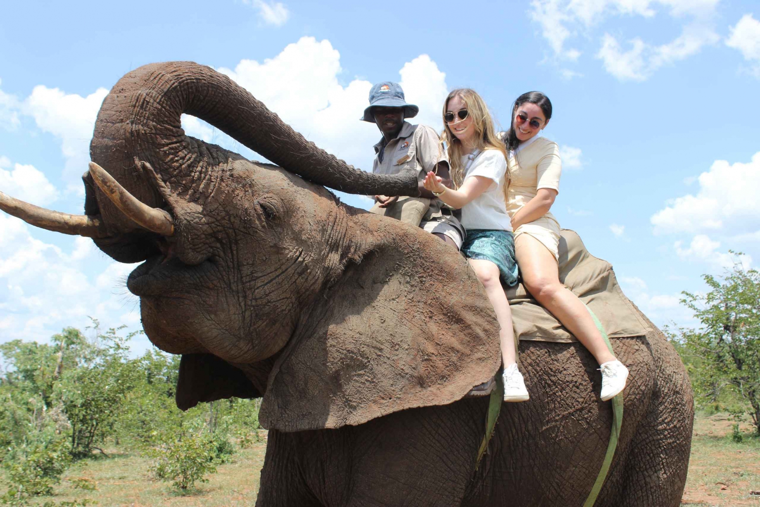 Interact, walk side by side with elephants in Victoria Falls