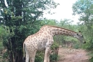 Visita a un pueblo interesante con almuerzo