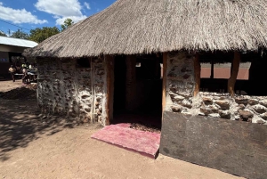 Visita a un pueblo interesante con almuerzo