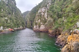 Johannesburg: 10-dniowa wycieczka po Wodospadach Wiktorii i Garden Route