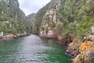 Johannesburg: 10-dniowa wycieczka po Wodospadach Wiktorii i Garden Route