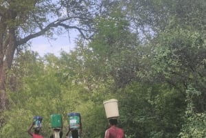 Livingstone: Amazing Traditional Village & Dance Culture