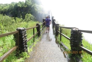 Livingstone: stadstour, gamedrive en Victoria Falls-tour