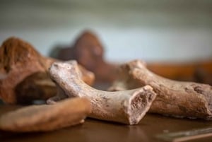 Livingstone: Cultural & Heritage Tour with Lunch