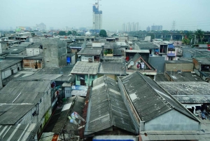 Livingstone: Guidet byrundtur – en oplevelse af fortid og nutid.