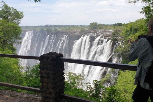 リビングストンビクトリアの滝ガイドツアー（送迎付き