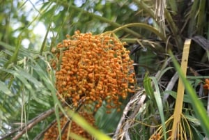 Livingstone & Victoria Falls Tour Zambia & Zimbabwe Combo