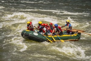Livingstone: avventura di rafting di mezza giornata sul fiume Zambesi