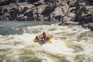 Livingstone: avventura di rafting di mezza giornata sul fiume Zambesi