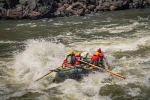 Livingstone: avventura di rafting di mezza giornata sul fiume Zambesi