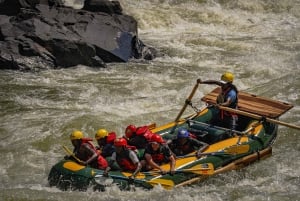 Livingstone: avventura di rafting di mezza giornata sul fiume Zambesi