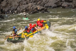 Livingstone: avventura di rafting di mezza giornata sul fiume Zambesi