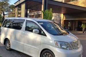 Z Lusaki do Livingstone: Prywatny transfer (Wodospady Wiktorii)