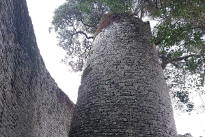 MASVINGO; WIELKA WYCIECZKA PO ZABYTKACH ZIMBABWE - Z HARARE