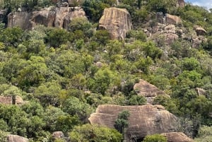 Matobo Hills Day Trip with Rhino Tracking